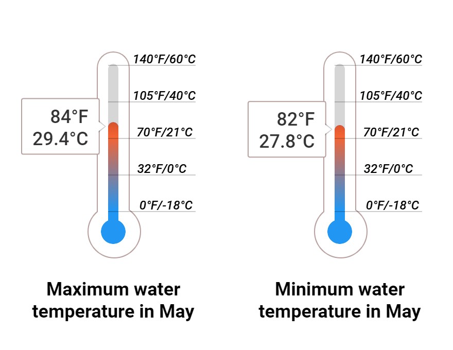 Average Sea temperature